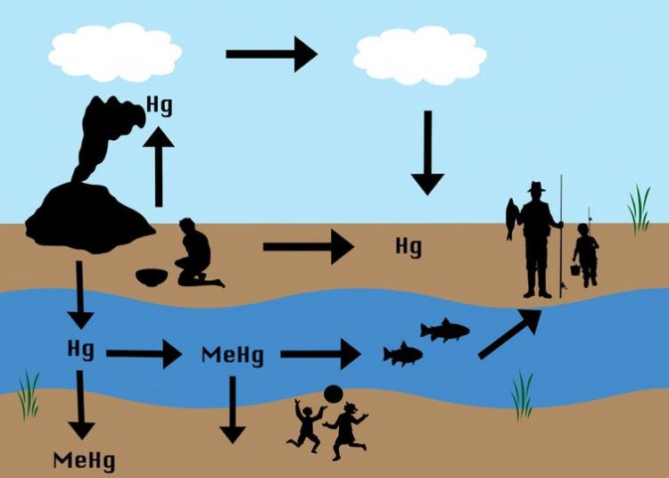Morowali di Tengah Ancaman Limbah Tailing